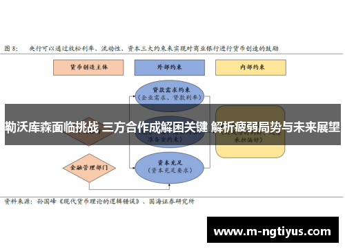 勒沃库森面临挑战 三方合作成解困关键 解析疲弱局势与未来展望